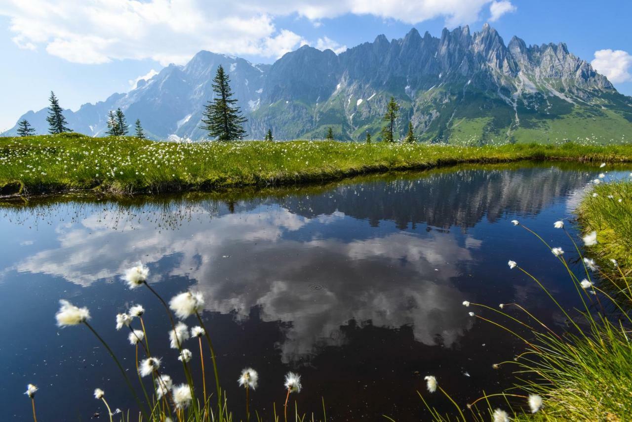 Alpenhof Schwaiger - Hotel Garni Mühlbach am Hochkönig Eksteriør bilde